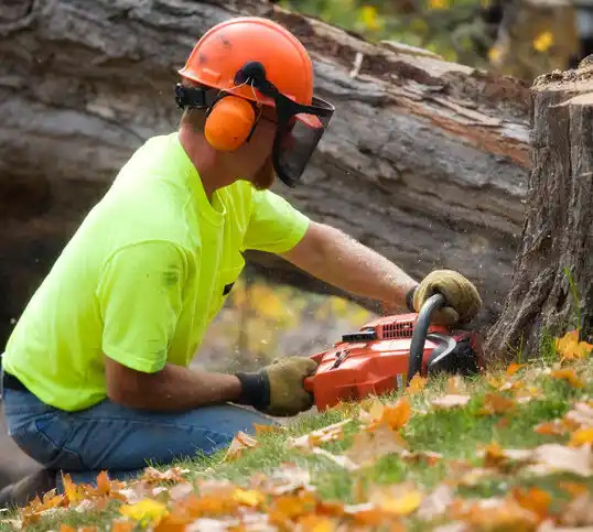 tree services Clarkson Valley